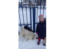 IMG 20161201 131317.jpg