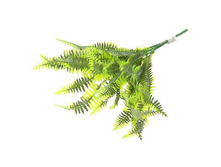 ����� "����������"����� "����������" �����; 33 ��; �������; � ����� 600 ��. ���.: 137691 60.06���.