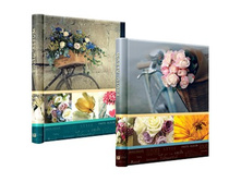 214���. ��� 81872 V ���������� 20� ����� 40 ����� ������ ��������� Image Art.jpg