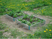 ������ ��������, 220 ���. ���� �� ���� ������ � �������