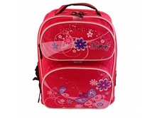 ������ DR 6007 (�������).jpg