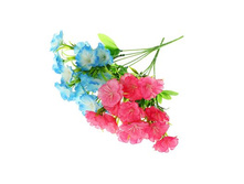 ����� "��������" 30 ��, ��������� "��������" 30 ��, ���� �����; 13 �� × 30 ��; �������, ��������; � ����� 147 ��. ���.: 1769250 59.50���.