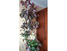 �������