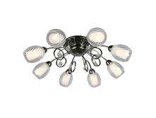 31607-08 4850�.jpg