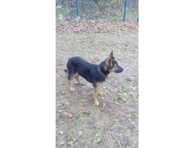 IMG 20161022 113333.jpg