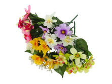 ����� "������" ��������� "������" ���� �����; 25 ��; �������, ��������; � ����� 480 ��. ���.: 1659291 69.00���.