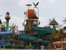 �������� �.�����