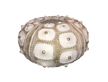 ���� �� ������� �-21��, D-13c�.jpeg