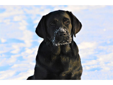 ���� ��� �� ��