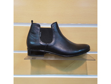 416 ����. ������