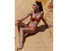 P131 push up, 590���