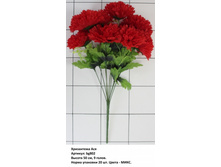 500x500.bg802 (1).JPG