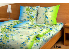 3808 ��������.jpg