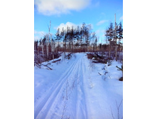 IMG 20170226 125146.jpg