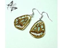 ������ Argynnis sp., 250