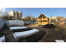 ���� �����)