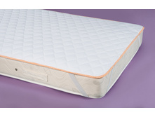 ����������� Sun Gir@ffe (���@�) �ԣ�����