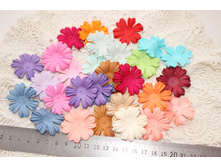 ����� ������ ��������� 38��- 41�� - 80���