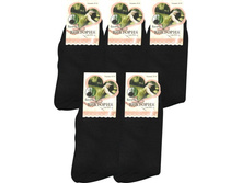 ������ ����� �������� F288-1 ޣ���� ������ 19 ��� x 12 ��. �������� � �������