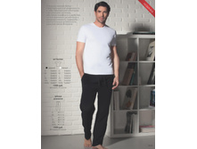 Cat-summer-sm 39.jpg