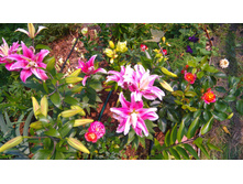 ������� (56).JPG