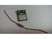 IMG 20170209 232617.jpg