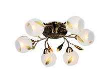 37807-06 2400�.JPG