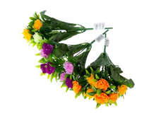 ����� "�������� �������" �����, ��������� "�������� �������" �����, ���� �����; 30 ��; �������, ��������; � ����� 600 ��. ���.: 1653821 69.80���.