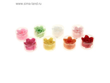 ������� �������� "��������", ����� ���� ������� �������� "��������", ����� ���� �������� ���� 1: ������� �������� "��������", ����� ���� �������� ���� 2: ������� �������� "��������", ����� ���� ��� 28.95 ��� �� 6�������