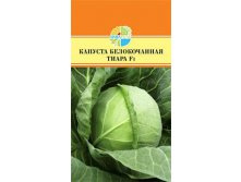 ������� ������������ ����� F1 24.60+%.jpg