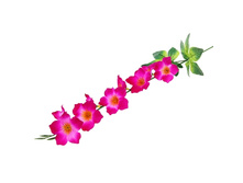 ����� ������������� "���������� �������"����� ������������� "���������� �������" �����; 60 ��; �������, ��������; � ����� 820 ��. ���.: 183213 35.75���.