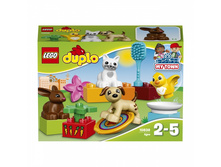 223977 ���� 559,9 ���..jpg