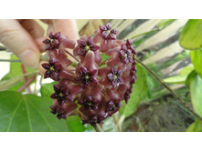 ���� ������������� ..