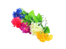 ����� "������" ��������� "������" ���� �����; 24 ��; �������, ��������; � ����� 800 ��. ���.: 296357 43.29 ���.