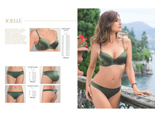 Florange 2017#01 MNS 03.jpg