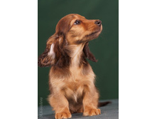 16473242 1277190809014006 324064465390365910 n.jpg