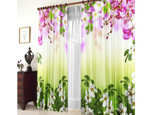 ����� �������� ���.jpg