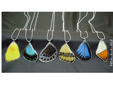 ������_������