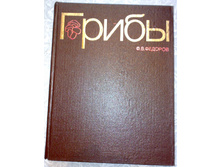 ��� ����� (38).jpg