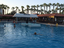 IMG 4877.JPG