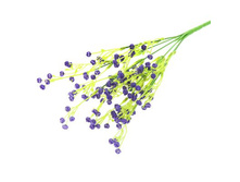 ����� "���������"����� "���������" �����; 33 ��; �������; � ����� 500 ��. ���.: 674574 60.50���.