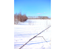 IMG 20170226 112121.jpg