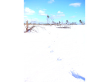 IMG 20170226 115741.jpg