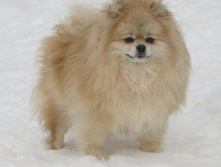 �������! 014.JPG