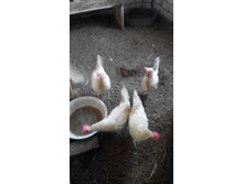 IMG 20161201 132942.jpg