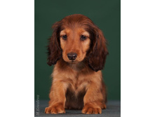 16406659 1277594365640317 2139714493695307207 n.jpg