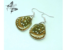 ��� ��, ������ �������