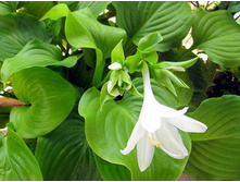 ����� ��������������. 120 �