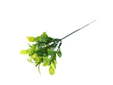 ����� "�������� � ����������"����� "�������� � ����������" �����; 20 ��; �������; � ����� 1800 ��. ���.: 1653793 12.30 ���.