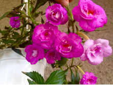 ����������